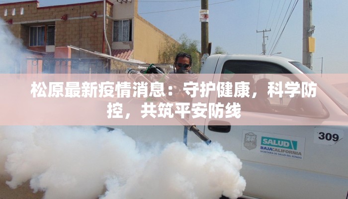 疫情最新实况湖北：守护家园，科学防控新篇章