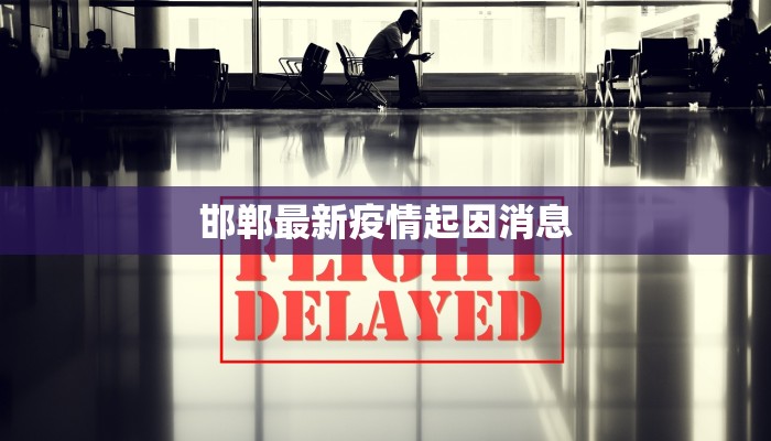 邯郸最新疫情起因消息 邯郸最新疫情起因消息