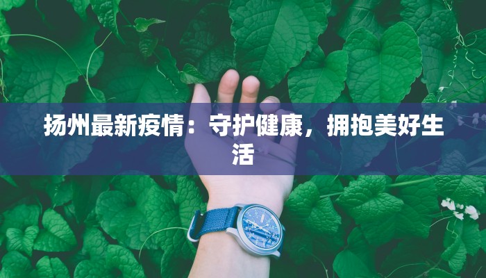 扬州最新疫情：守护健康，拥抱美好生活