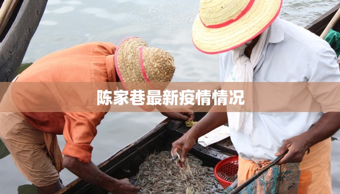 陈家巷最新疫情情况