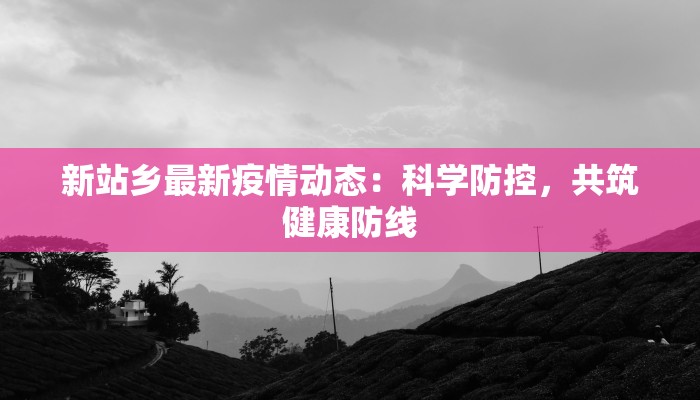 新站乡最新疫情动态：科学防控，共筑健康防线
