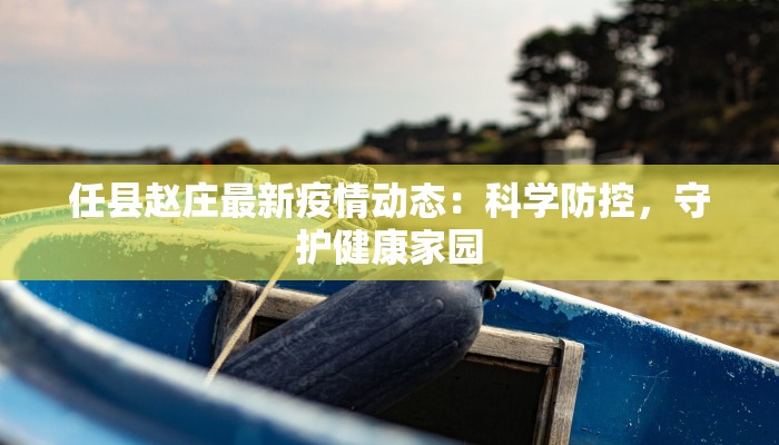 任县赵庄最新疫情动态：科学防控，守护健康家园