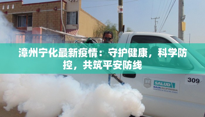 漳州宁化最新疫情：守护健康，科学防控，共筑平安防线