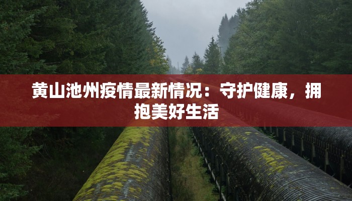 黄山池州疫情最新情况：守护健康，拥抱美好生活
