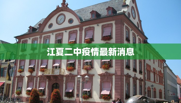 江夏二中疫情最新消息