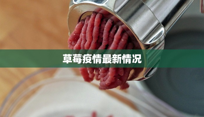 宣恩疫情最新报道