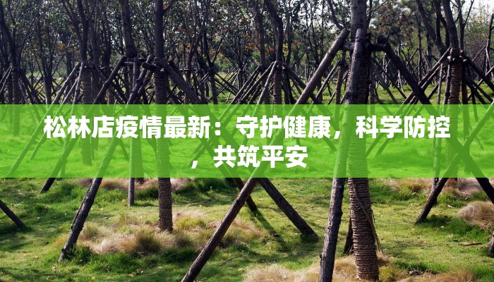 松林店疫情最新:守护健康,科学防控,共筑平安 松林店疫情最新:守护健康,科学防控,共筑平安