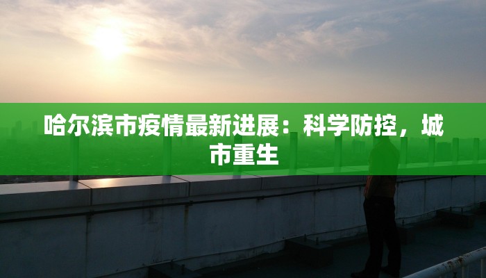 哈尔滨市疫情最新进展：科学防控，城市重生