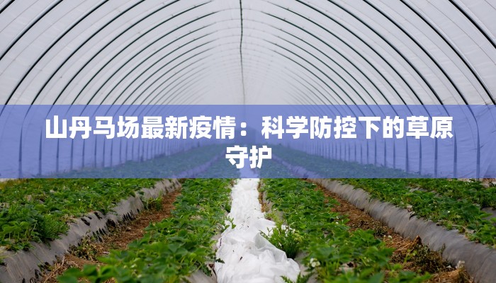 壶关疫情最新今天:守护健康,科学防控 壶关疫情最新今天:守护健康,科学防控