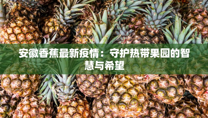 安徽香蕉最新疫情:守护热带果园的智慧与希望 安徽香蕉最新疫情:守护热带果园的智慧与希望