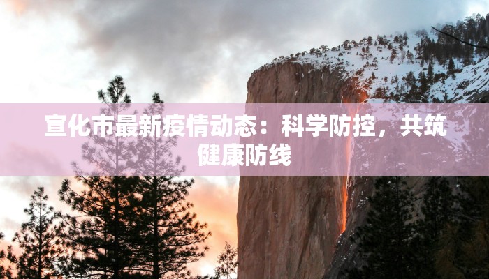 宣化市最新疫情动态:科学防控,共筑健康防线 宣化市最新疫情动态:科学防控,共筑健康防线