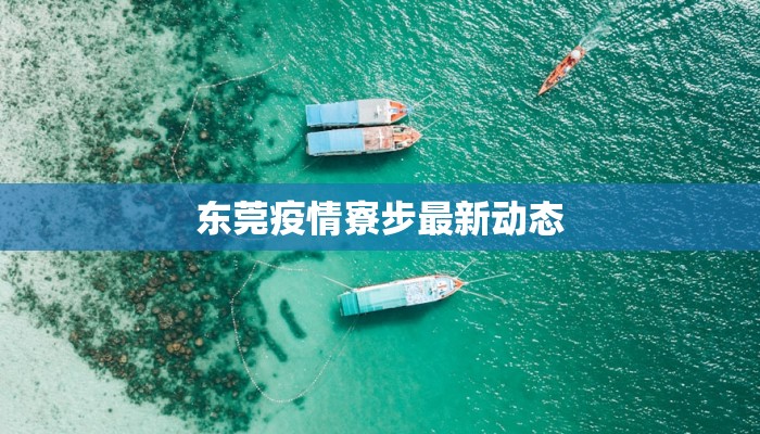 东莞疫情寮步最新动态