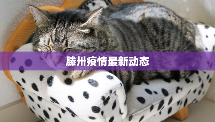 滕卅疫情最新动态 滕卅疫情最新动态