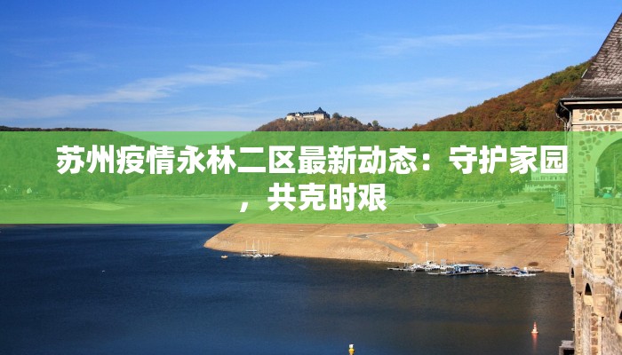 陈留镇最新疫情防控