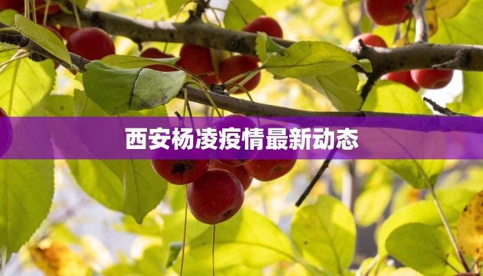 西安杨凌疫情最新动态