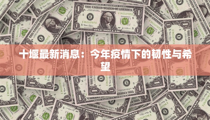 十堰最新消息：今年疫情下的韧性与希望