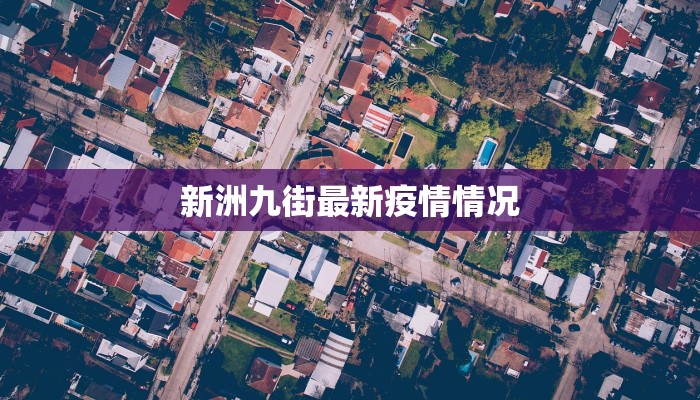 新洲九街最新疫情情况 新洲九街最新疫情情况