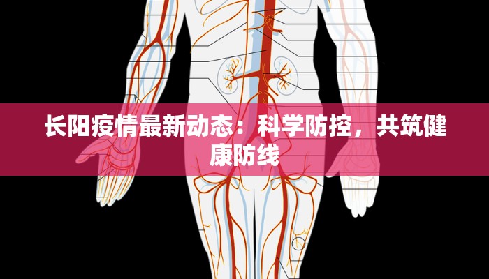 长阳疫情最新动态：科学防控，共筑健康防线