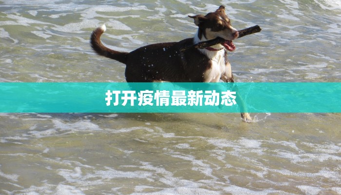 河顺最新疫情报告