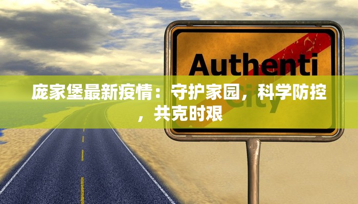 庞家堡最新疫情:守护家园,科学防控,共克时艰 庞家堡最新疫情:守护家园,科学防控,共克时艰