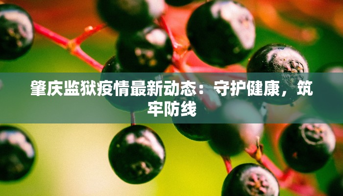 肇庆监狱疫情最新动态：守护健康，筑牢防线