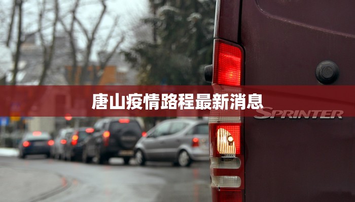 庄河疫情最新新增人员：科学防控，共克时艰