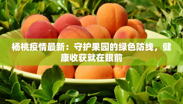 杨桃疫情最新：守护果园的绿色防线，健康收获就在眼前