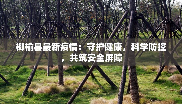 威海最新疫情乳山:守护家园的温暖力量 威海最新疫情乳山:守护家园的温暖力量