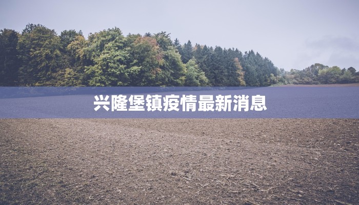 兴隆堡镇疫情最新消息