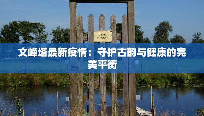 文峰塔最新疫情：守护古韵与健康的完美平衡