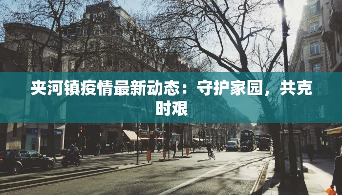 夹河镇疫情最新动态:守护家园,共克时艰 夹河镇疫情最新动态:守护家园,共克时艰