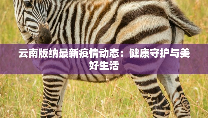 云南版纳最新疫情动态：健康守护与美好生活