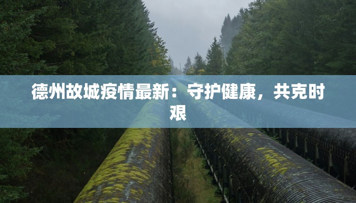 德州故城疫情最新：守护健康，共克时艰