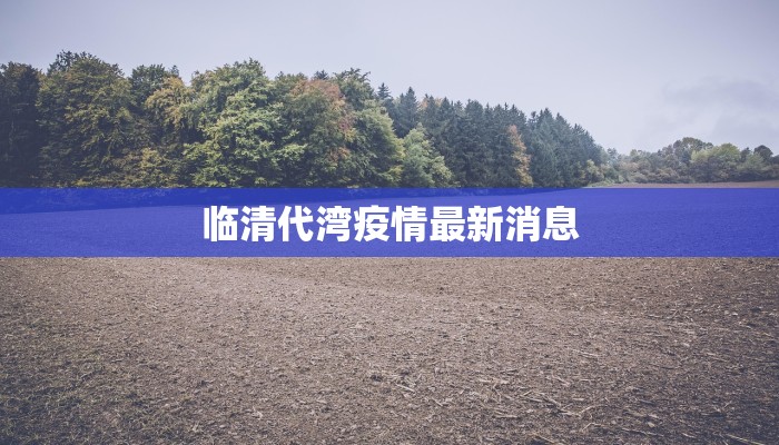 临清代湾疫情最新消息 临清代湾疫情最新消息