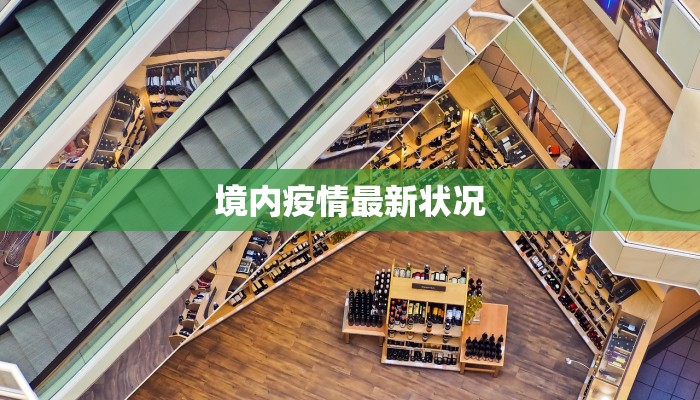 境内疫情最新状况