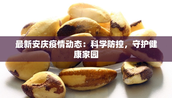 最新安庆疫情动态：科学防控，守护健康家园