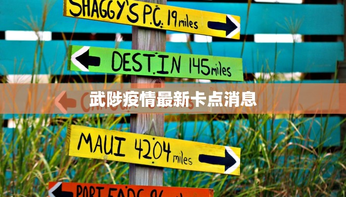 唐河最新疫情最新通报