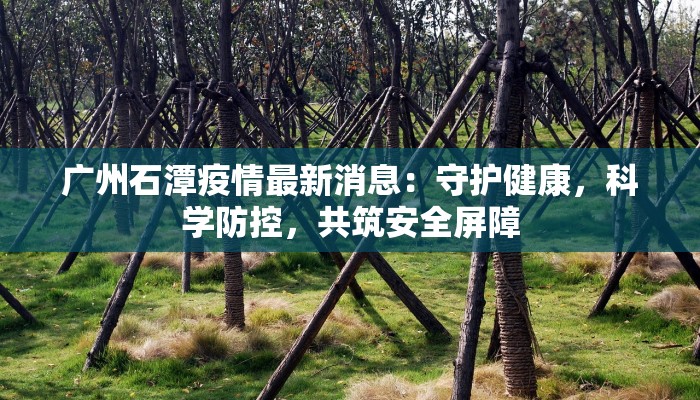 广州石潭疫情最新消息：守护健康，科学防控，共筑安全屏障