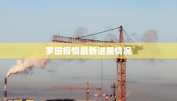 罗田疫情最新进展情况 罗田疫情最新进展情况