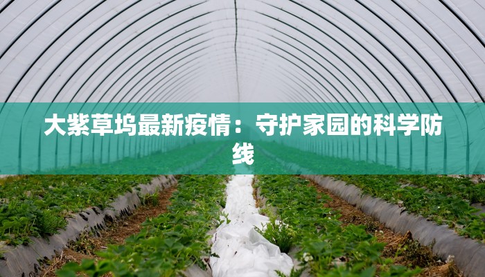 大紫草坞最新疫情:守护家园的科学防线 大紫草坞最新疫情:守护家园的科学防线