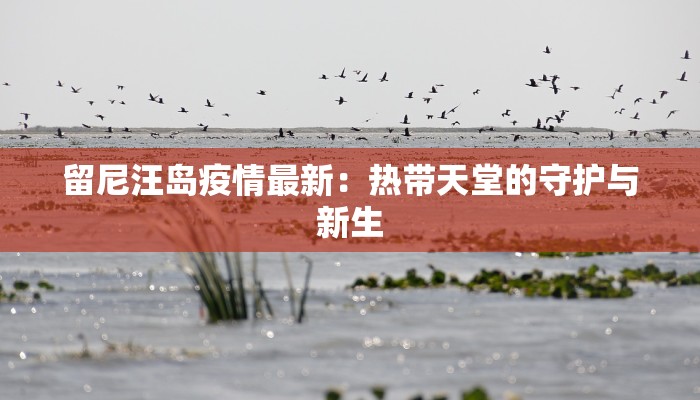 留尼汪岛疫情最新：热带天堂的守护与新生