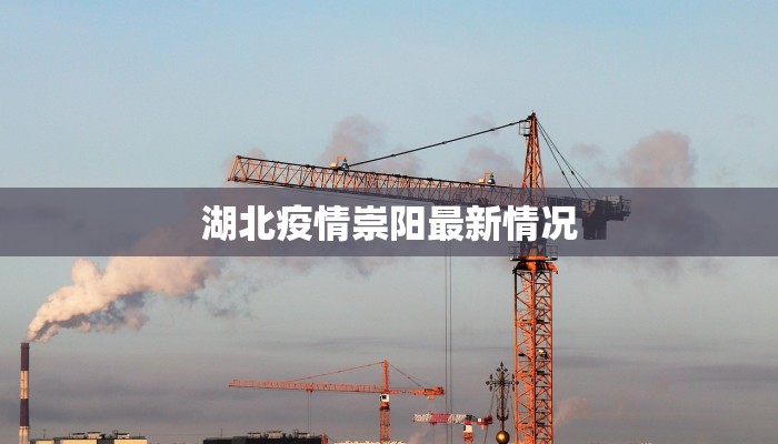 湖北疫情崇阳最新情况