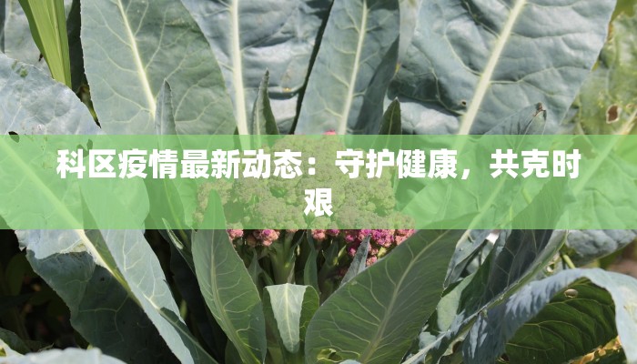 科区疫情最新动态:守护健康,共克时艰 科区疫情最新动态:守护健康,共克时艰