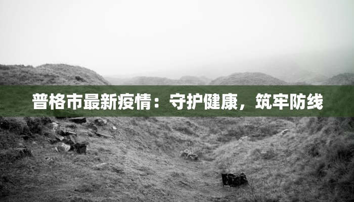 普格市最新疫情：守护健康，筑牢防线