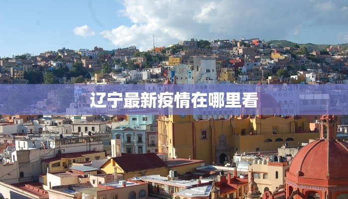 辽宁最新疫情在哪里看