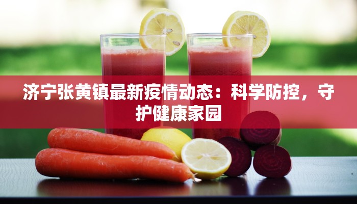 济宁张黄镇最新疫情动态:科学防控,守护健康家园 济宁张黄镇最新疫情动态:科学防控,守护健康家园