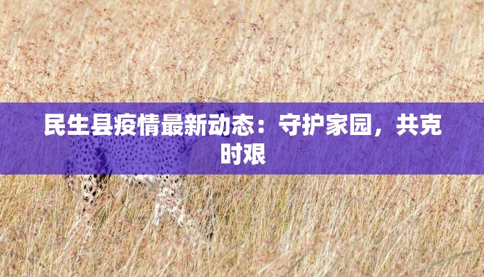 民生县疫情最新动态：守护家园，共克时艰