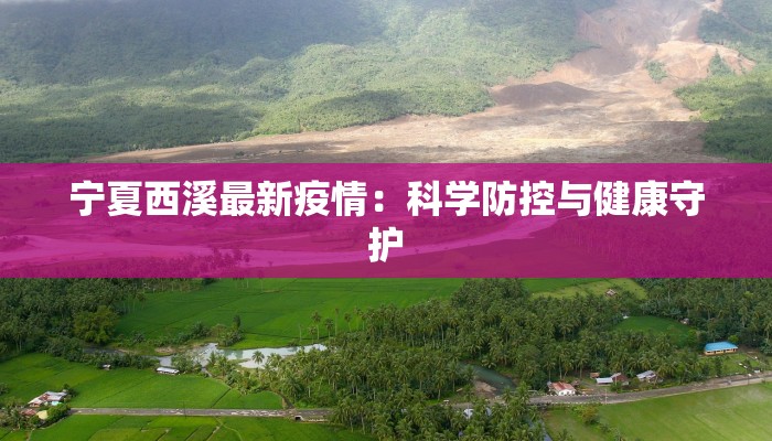 宁夏西溪最新疫情：科学防控与健康守护