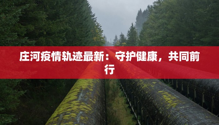 庄河疫情轨迹最新：守护健康，共同前行