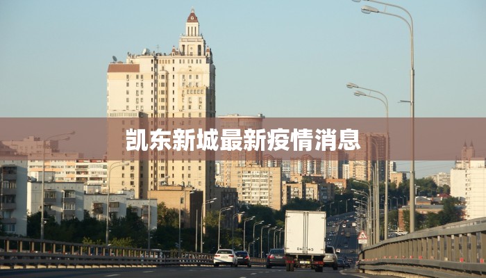 凯东新城最新疫情消息 凯东新城最新疫情消息